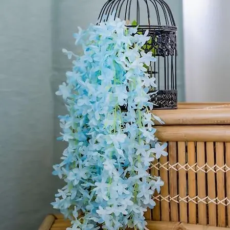 Heaven's Paradise-pool-sunset-1br *